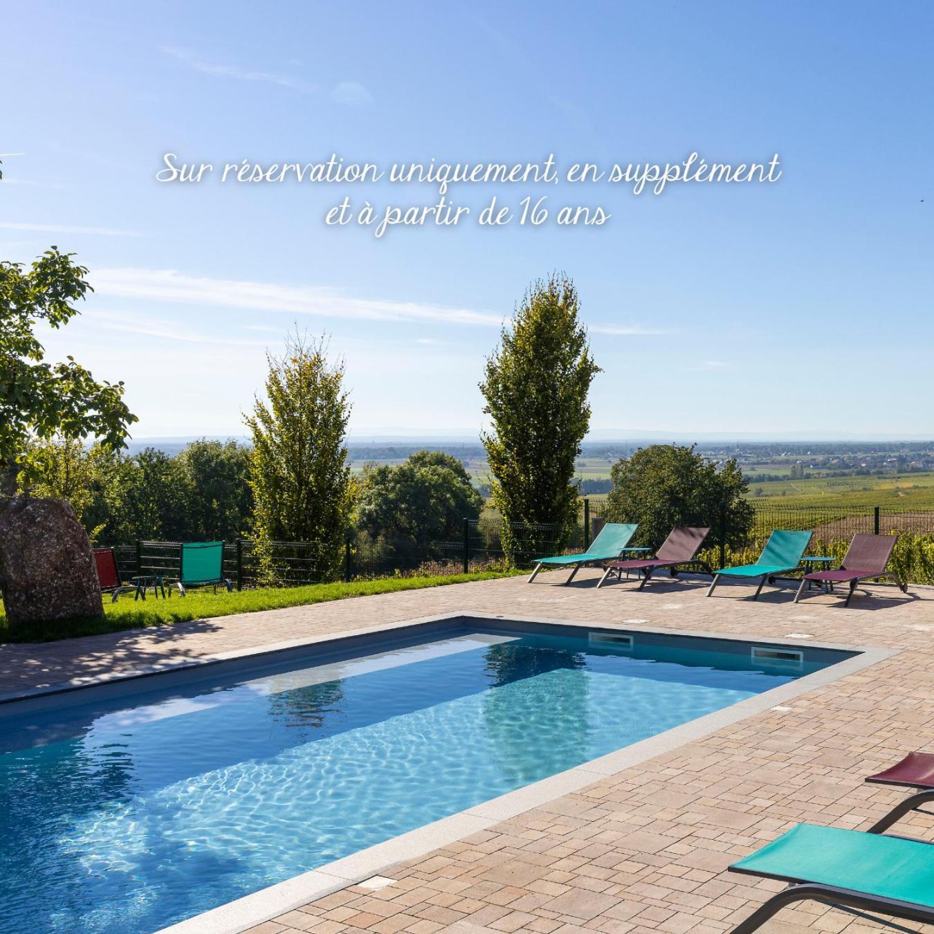 Westhalten Hotel Du Bollenberg - Restaurant "Cote Plaine" - Spa De La Colline מראה חיצוני תמונה